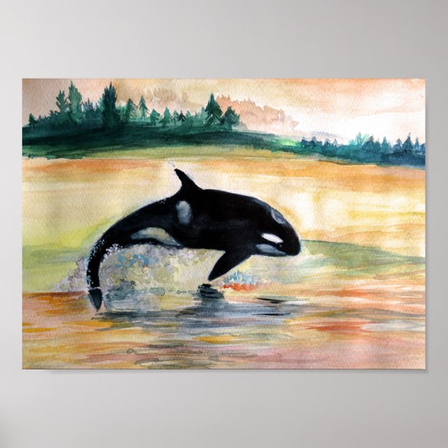 Papel de Poster de Valor Orca Saltando Baleia (Mat (Frente)