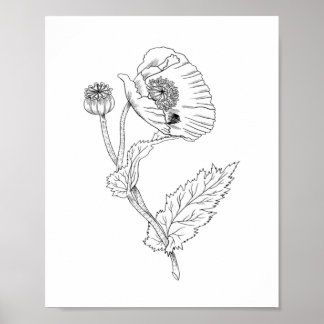 Papel de Poster minimalista de flores (Matte)