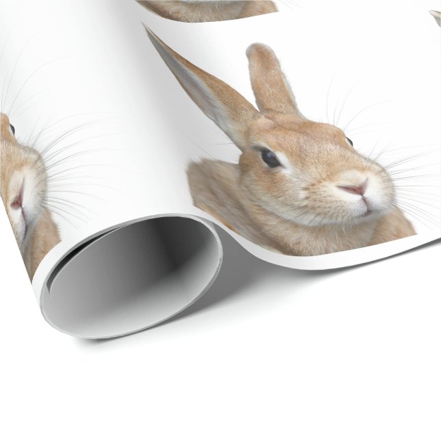 PAPEL DE PRESENTE ウサギ (Ponta do rolo)