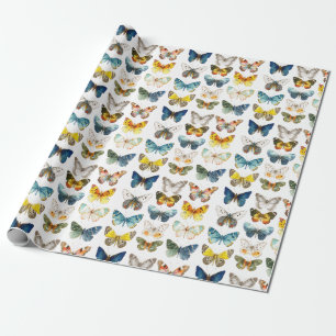 Papel De Presente 13 belas borboletas arte de insetos aquarela
