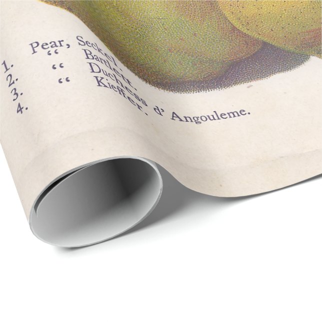 Papel De Presente 5 peras de colheita ilustradas (Ponta do rolo)