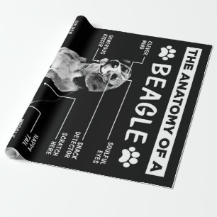Papel De Presente A Anatomia De Um Cachorro De Beagle