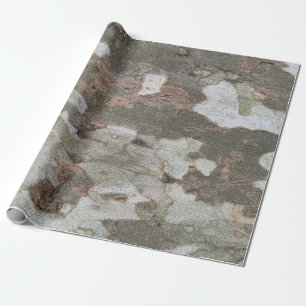 Papel De Presente A camuflagem da árvore de plano parece um enrolame