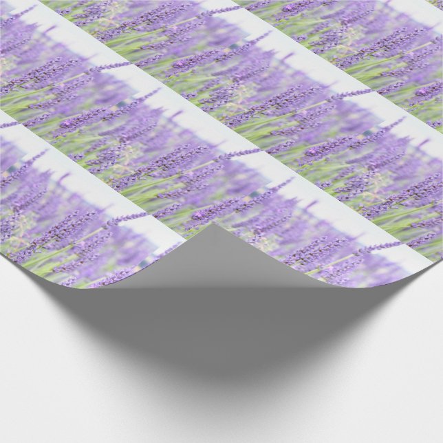 Papel De Presente A lavanda coloca a fotografia, vários presentes (Ponta)