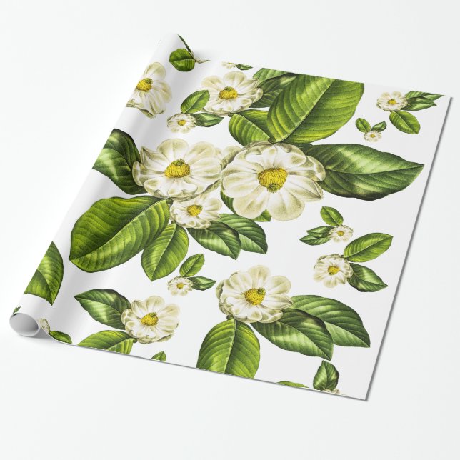 Papel De Presente A magnólia floresce o papel de envolvimento (Desenrolado)