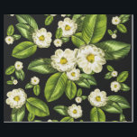 Papel De Presente A magnólia floresce o papel de envolvimento<br><div class="desc">Design do papel de envolvimento da flor da magnólia baseado em nosso impressão da arte da magnólia #9,  este com fundo preto dramático.</div>