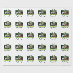 Papel De Presente A melhor família de cachorros mãe pai animal de es