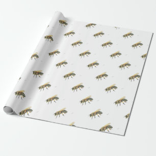 Papel De Presente Abelhão