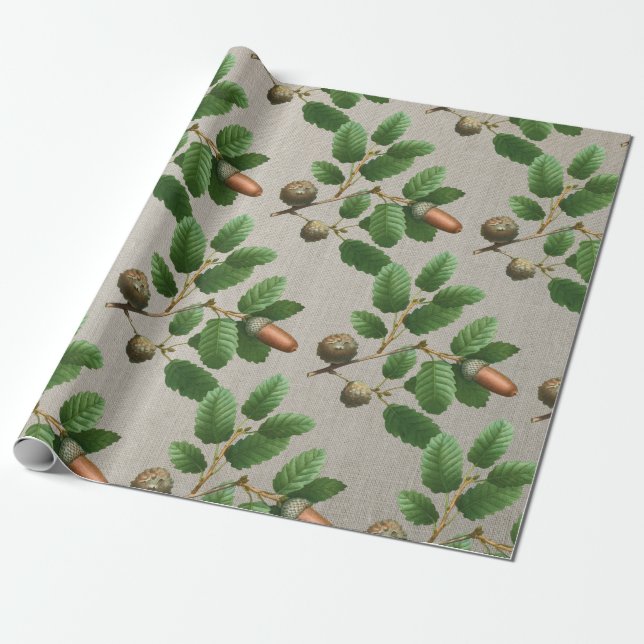 Papel De Presente Acorn Oak Leaves (Desenrolado)