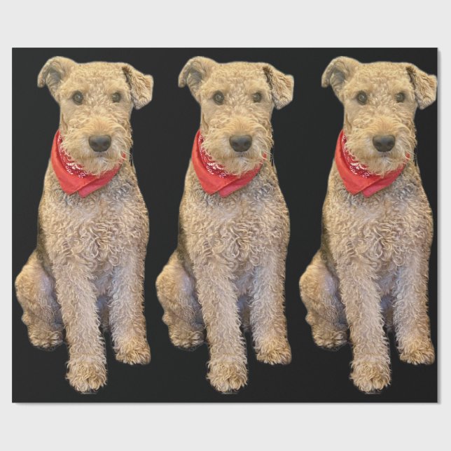 Papel De Presente Acorn Wrapping Paper - Black (Aberto)