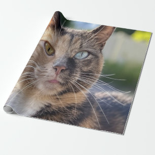 Papel De Presente Adicionar Foto de Gato Personalizar