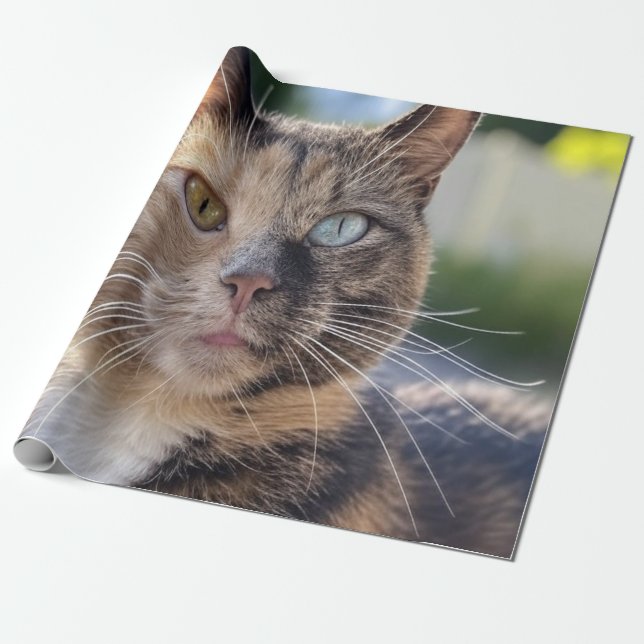 Papel De Presente Adicionar Foto de Gato Personalizar (Desenrolado)