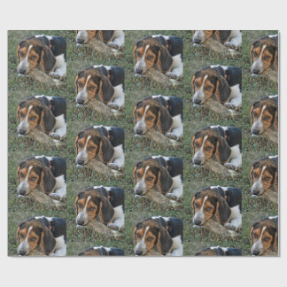 Papel De Presente Adorable Beagle Chewing A Bone