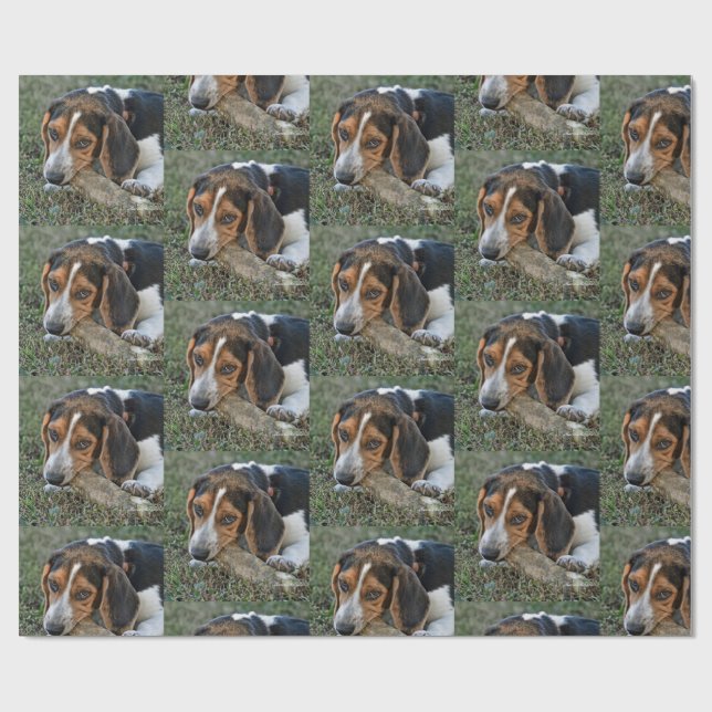 Papel De Presente Adorable  Beagle Chewing A Bone (Aberto)