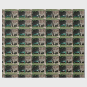 Papel De Presente Adorável Donkey Ao Lado De Wooden Green Bench