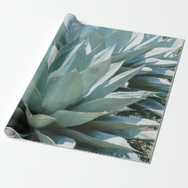 Papel De Presente Agave Succult Plant Cactus Green Sage cinza