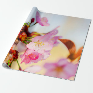 Papel De Presente Aglomerado Vertical De Flores Sakura