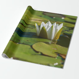 Papel De Presente Água Lily Blossom