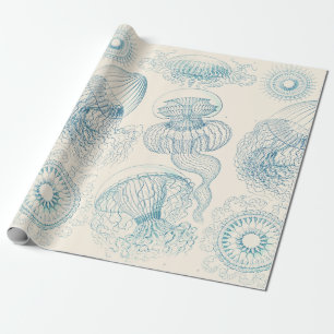 Papel De Presente Água-viva de Ernst Haeckel Arte Científico Antigo