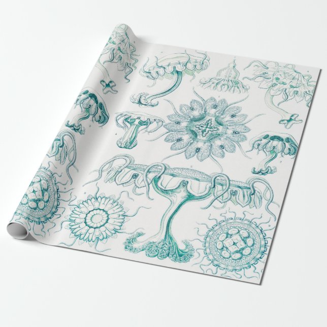 Papel De Presente Água-viva, Desconto de Ernst Haeckel (Desenrolado)