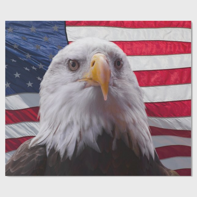 Papel De Presente Águia e Bandeira (Aberto)