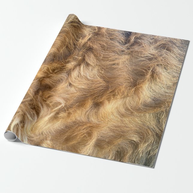 Papel De Presente Airedale Hair Wrapping Paper (Desenrolado)