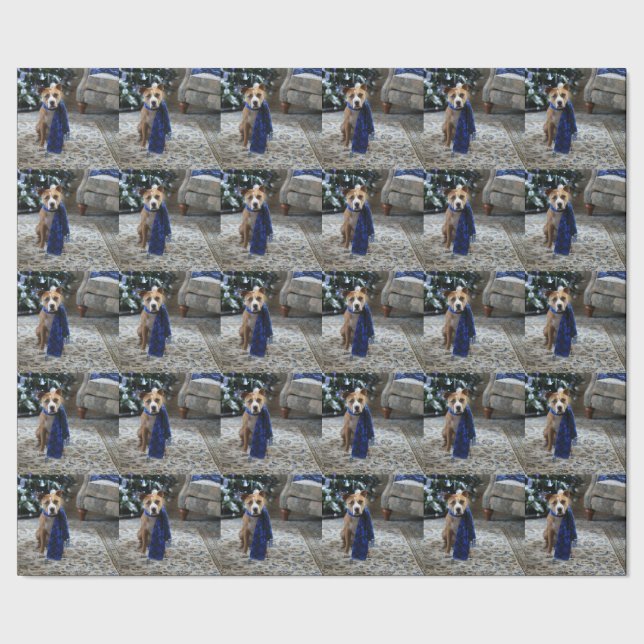 Papel De Presente Alegria Natalina de um Cão Resgatado da Raça Pit B (Barra)