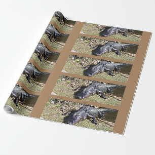 Papel De Presente Alligatior No Everglades