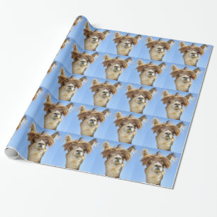 Papel De Presente Alpaca com cabelo louco