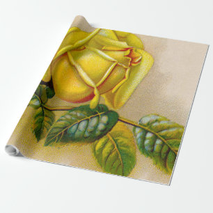 Papel De Presente Amarela Rosa Antiga Estampa Vintage Arte Fina