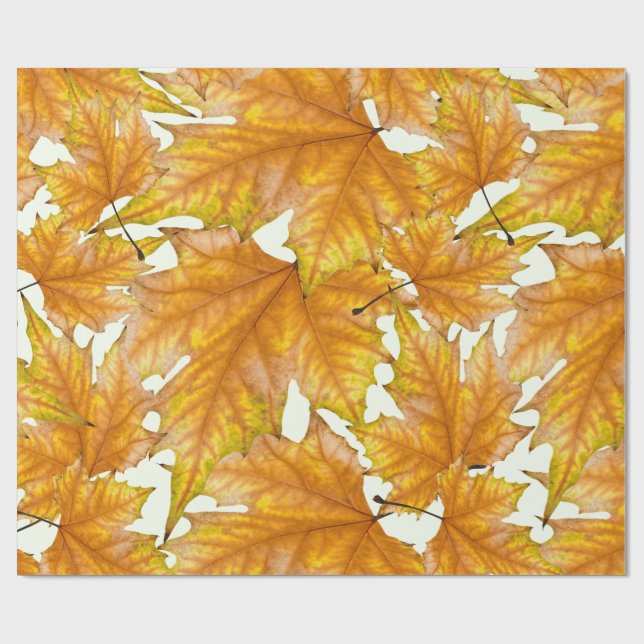 Papel De Presente Amarelo e folhas de bordo do ouro (Aberto)