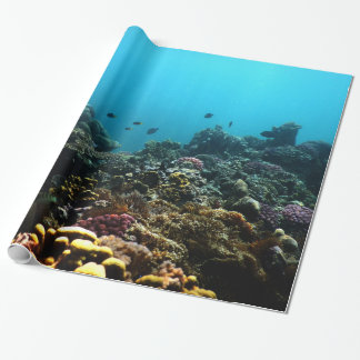 Papel De Presente Ambiente marinho no Pacífico