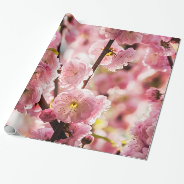 Papel De Presente Ameixa de Flor - Paradize Rosa (Desenrolado)