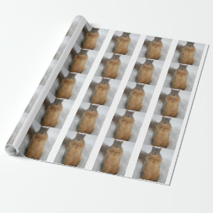 Papel De Presente Amor de Esquilo