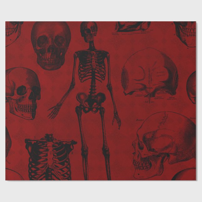 Papel De Presente Anatomia de esqueletos negros e criminosos (Aberto)