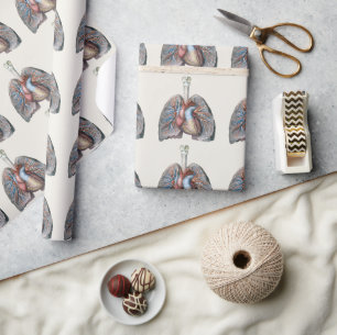 Papel De Presente Anatomia Humana Vintage Pulmões Coração Órgãos San
