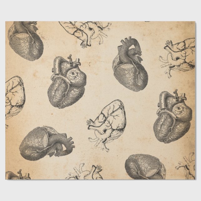Papel De Presente Anatomia Vintage  (Aberto)