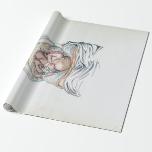 Papel De Presente Anatomia Vintage de um Infante Humano no Útero