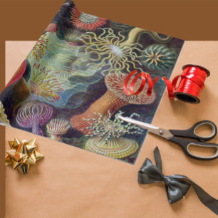 Papel De Presente Anêmona-do-Mar Natureza Científica Oceano