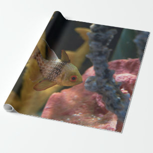 Papel De Presente Animais do mar