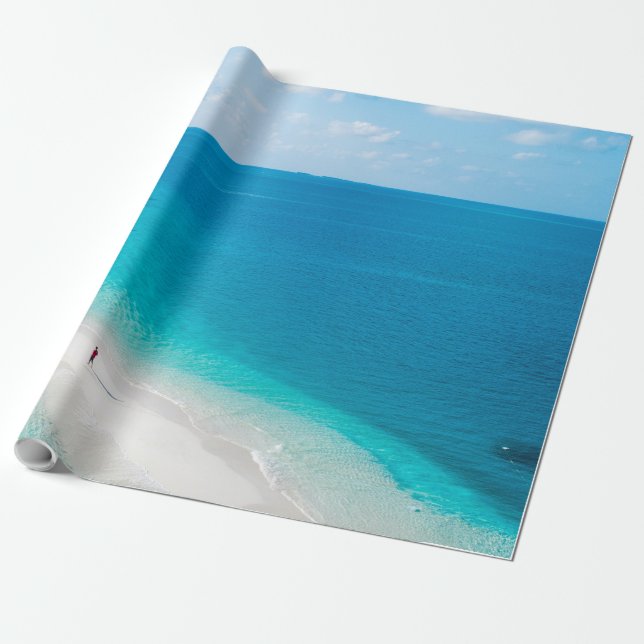 Papel De Presente Animais do mar legal (Desenrolado)