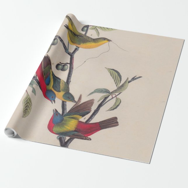 Papel De Presente Animais Selvagens de Aves Pintadas com Audubon (Desenrolado)