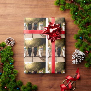 PAPEL DE PRESENTE ANIVERSÁRIO DO GATO LEGAL