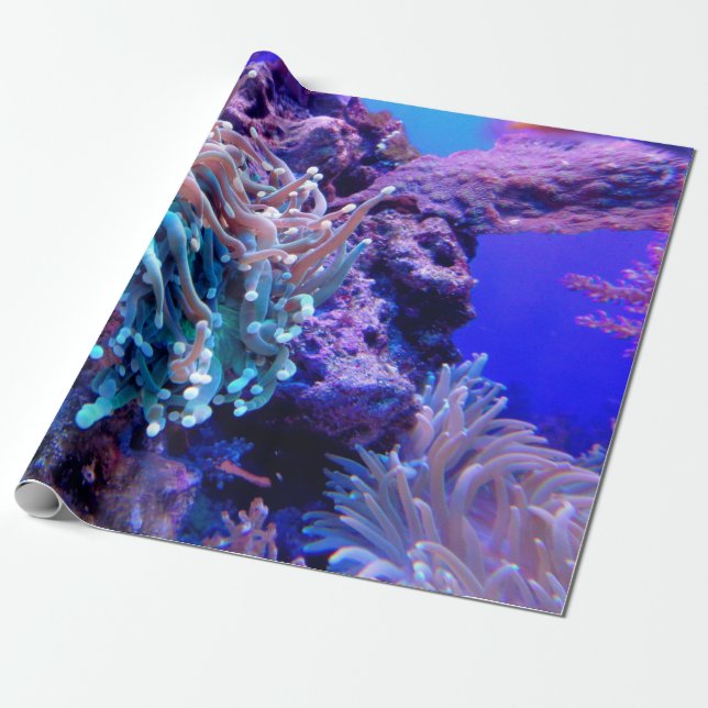 Papel De Presente Anome azul-roxo-marinho-coral (Desenrolado)