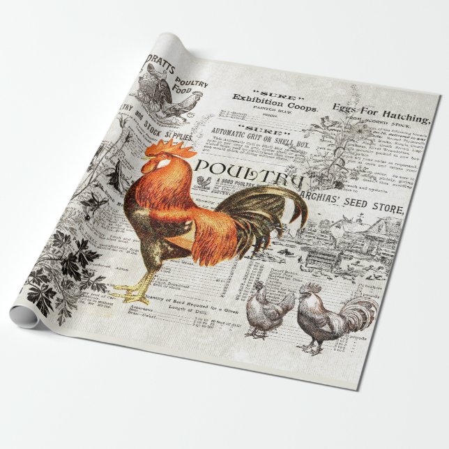 Papel De Presente Antiguamente Ads Horticulture Rooster Ephemera (Desenrolado)