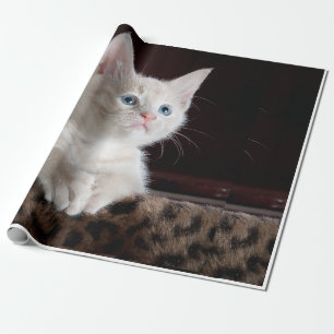 Papel De Presente aparência de gato