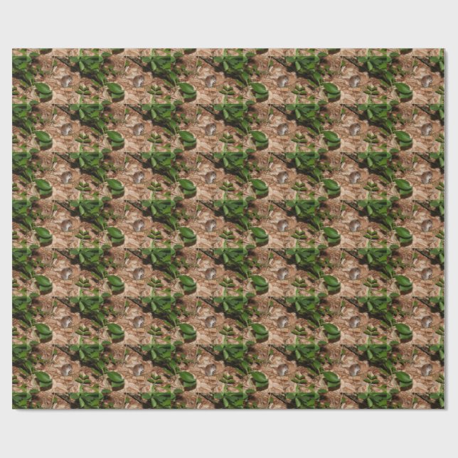 Papel De Presente Apodemus sylvaticus (Aberto)