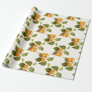 Papel De Presente Apricot