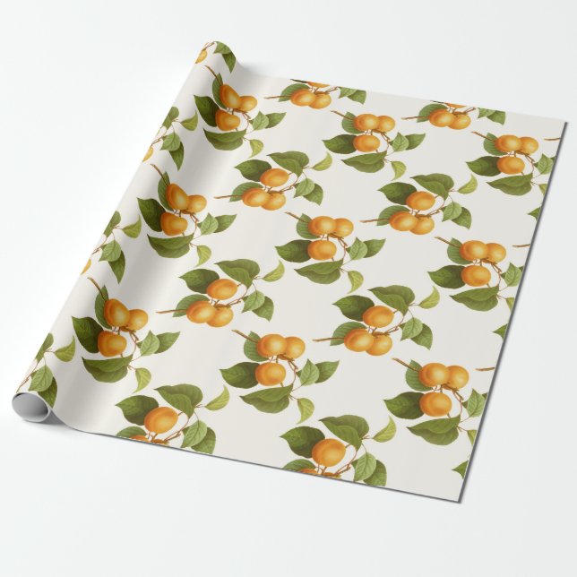 Papel De Presente Apricot (Desenrolado)