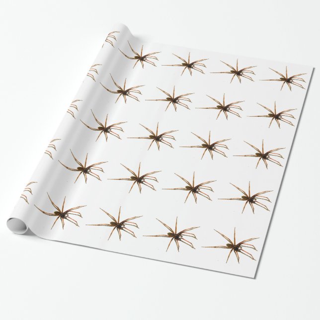 Papel De Presente Aranha (Desenrolado)